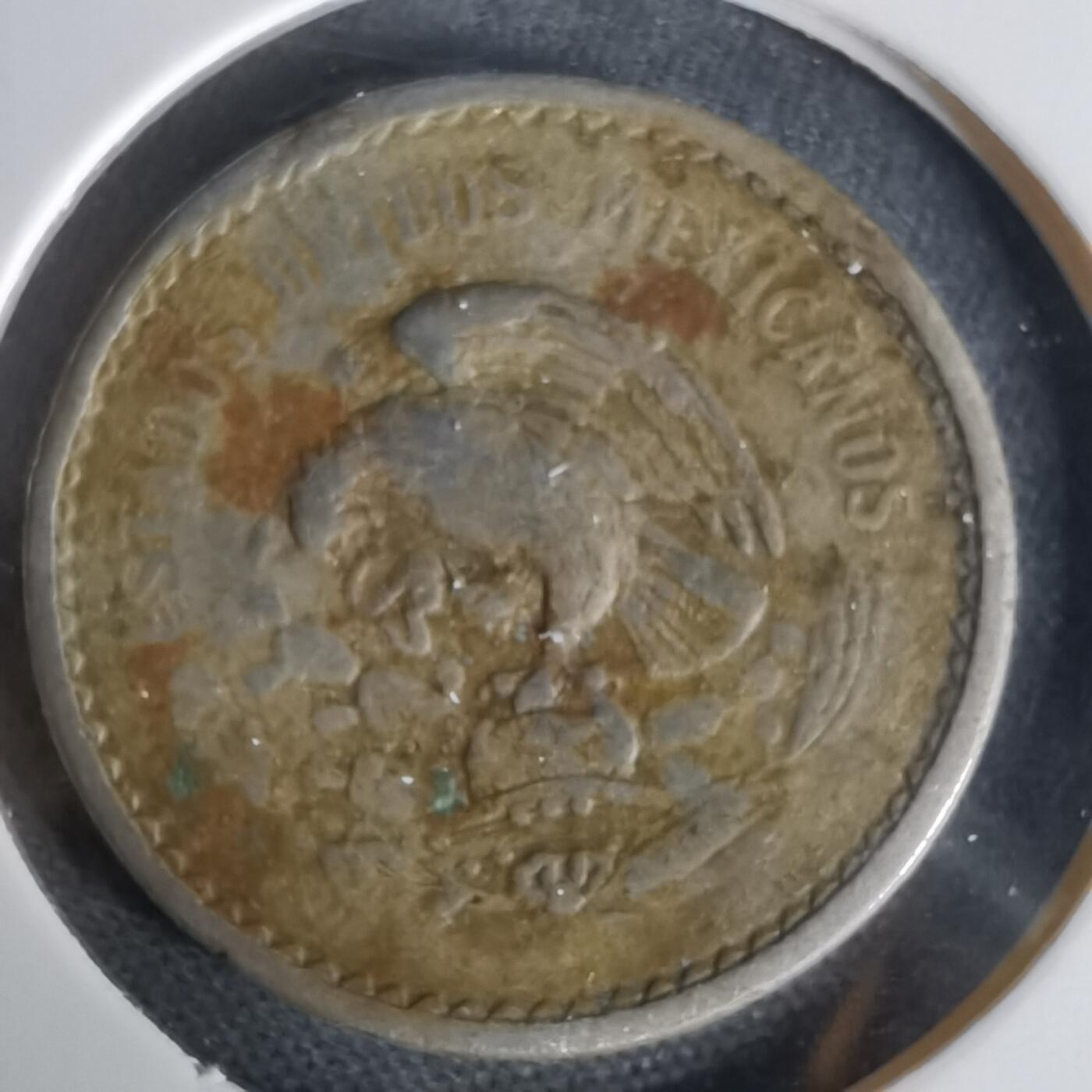 沼泽如烟--第1006场