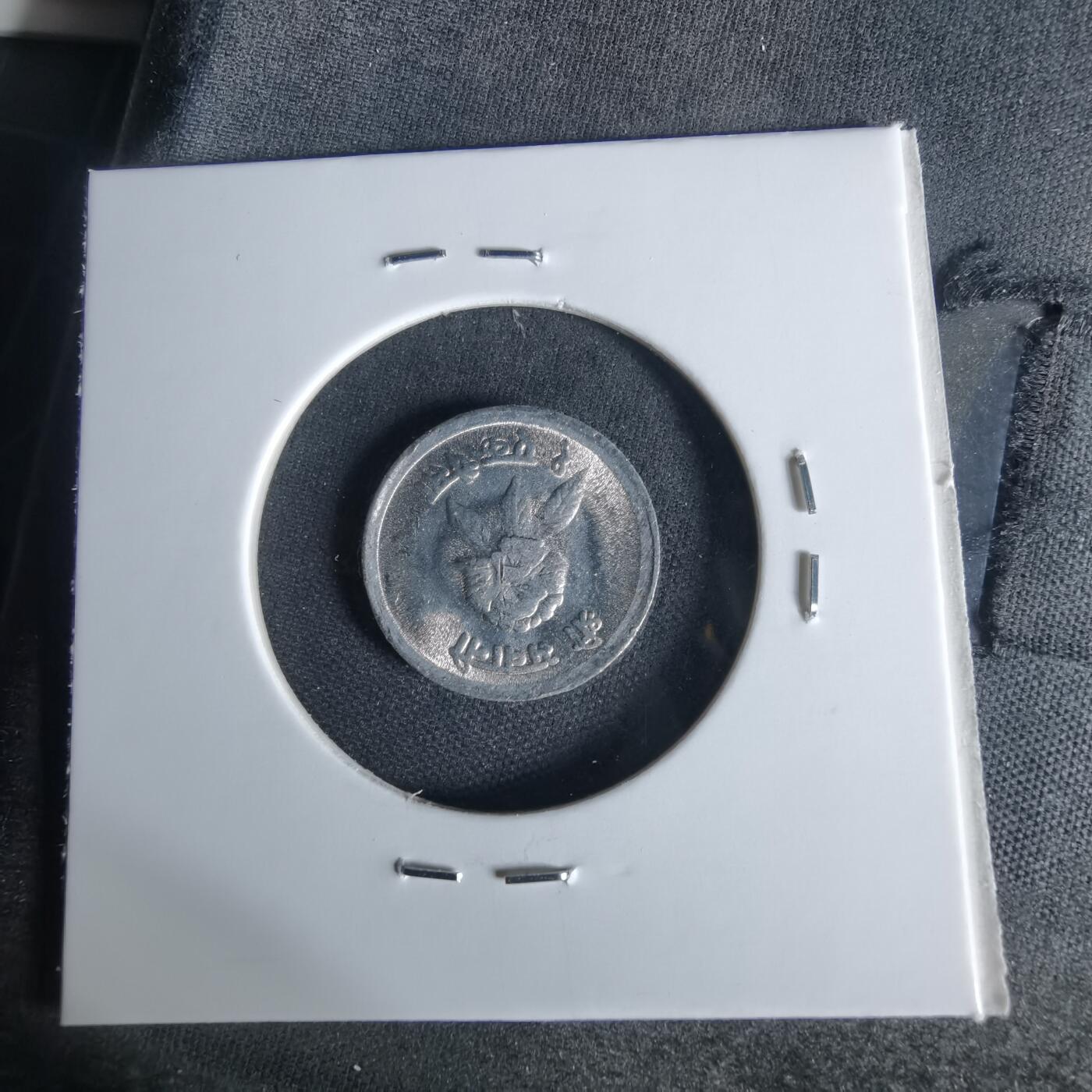 沼泽如烟--第1006场