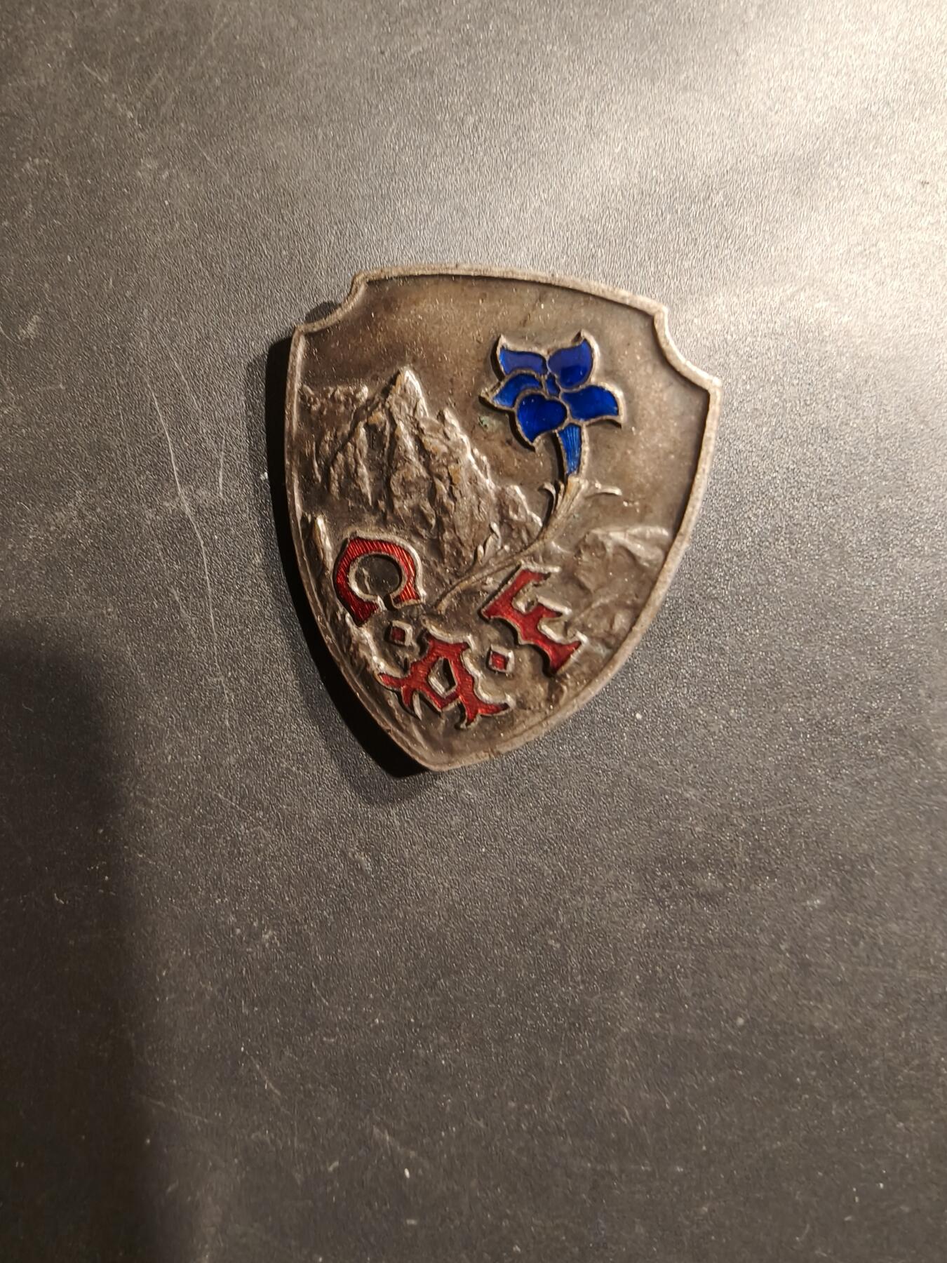 老王徽章第185期 法国山地作战学校证章