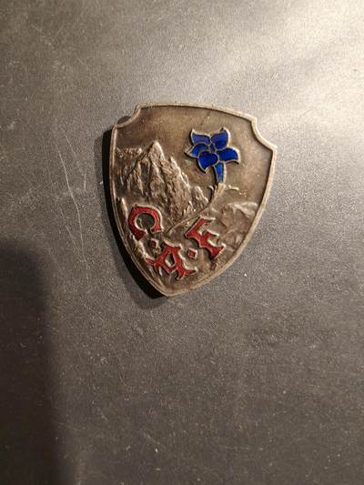 老王徽章第185期 - 法国山地作战学校证章