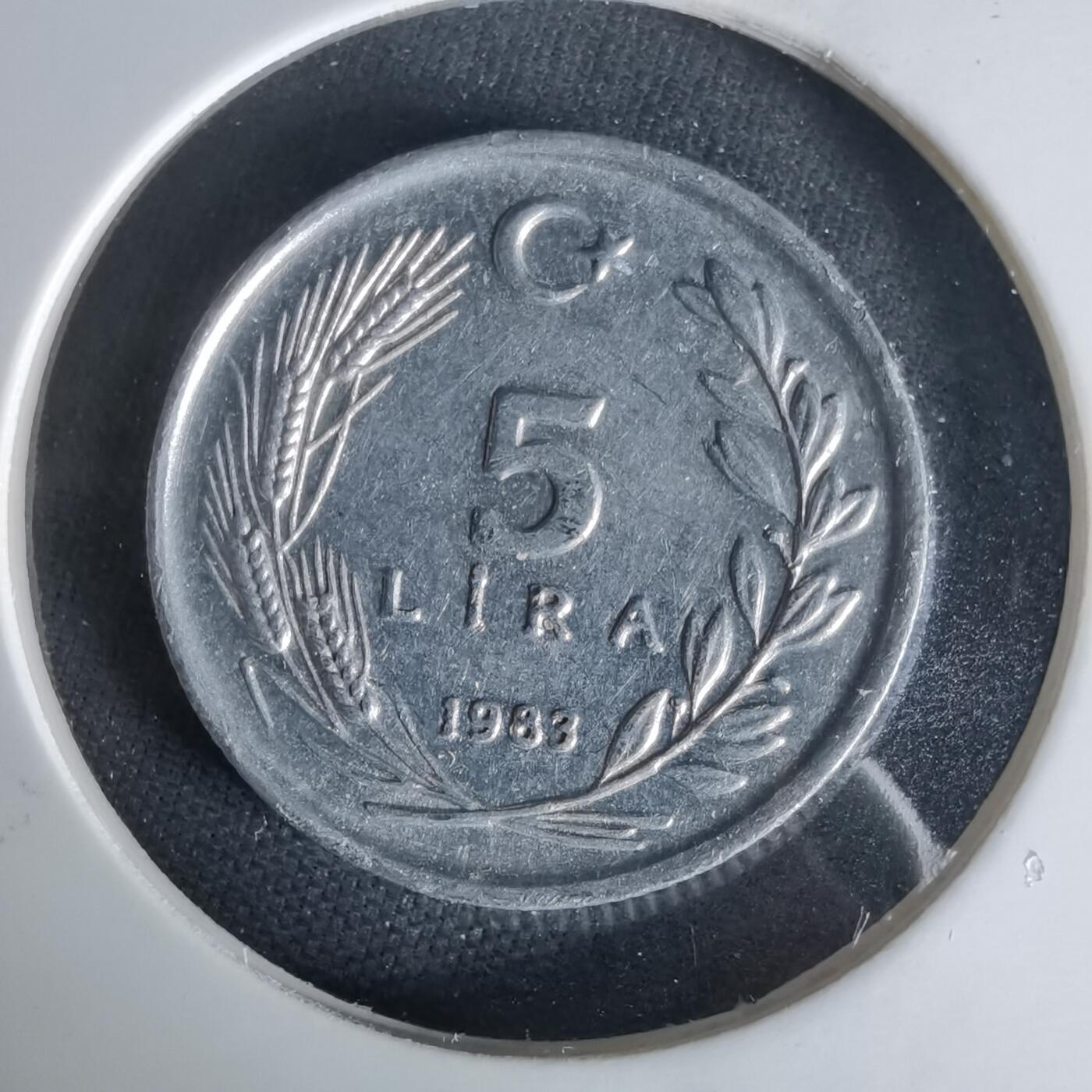 沼泽如烟--第1006场