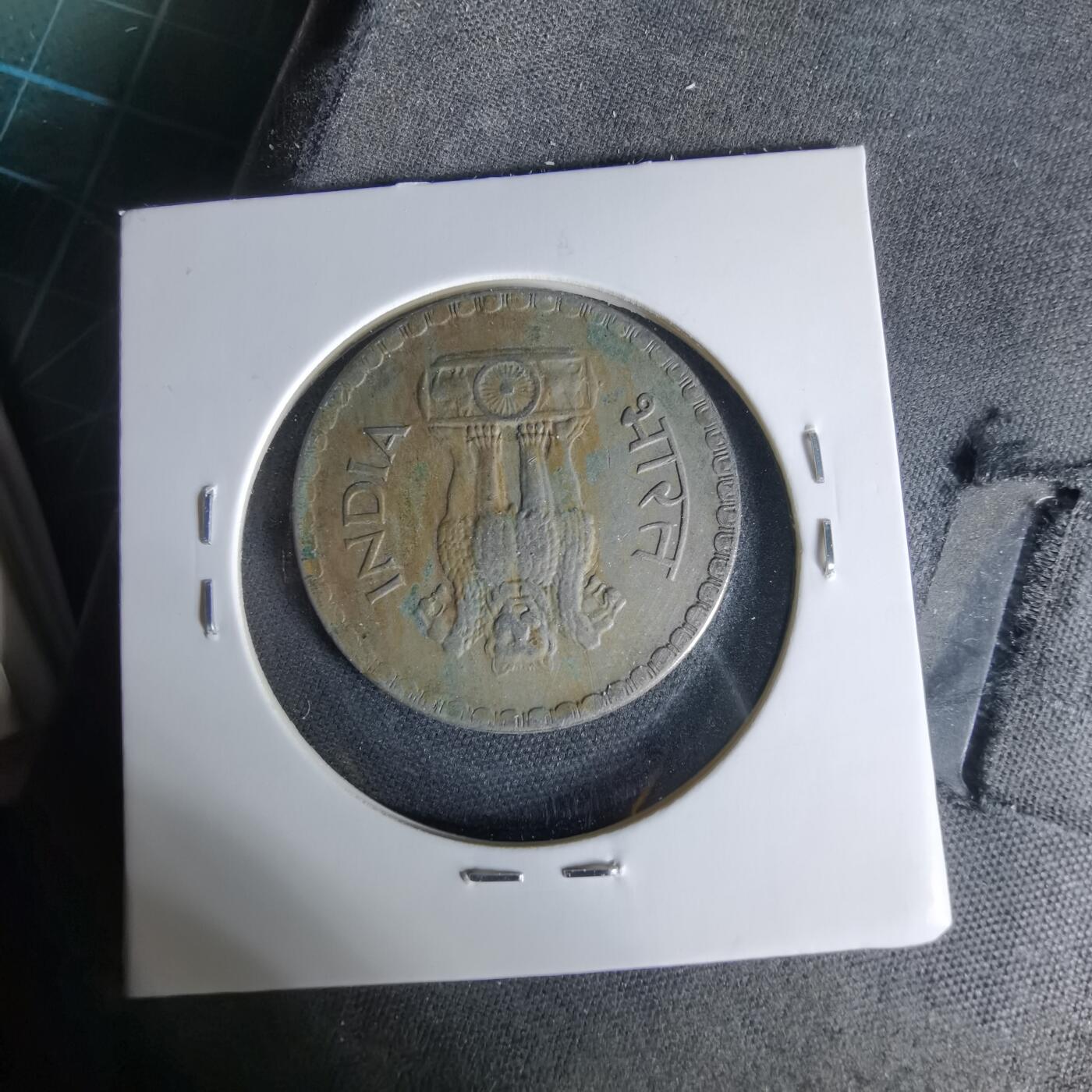 沼泽如烟--第1006场