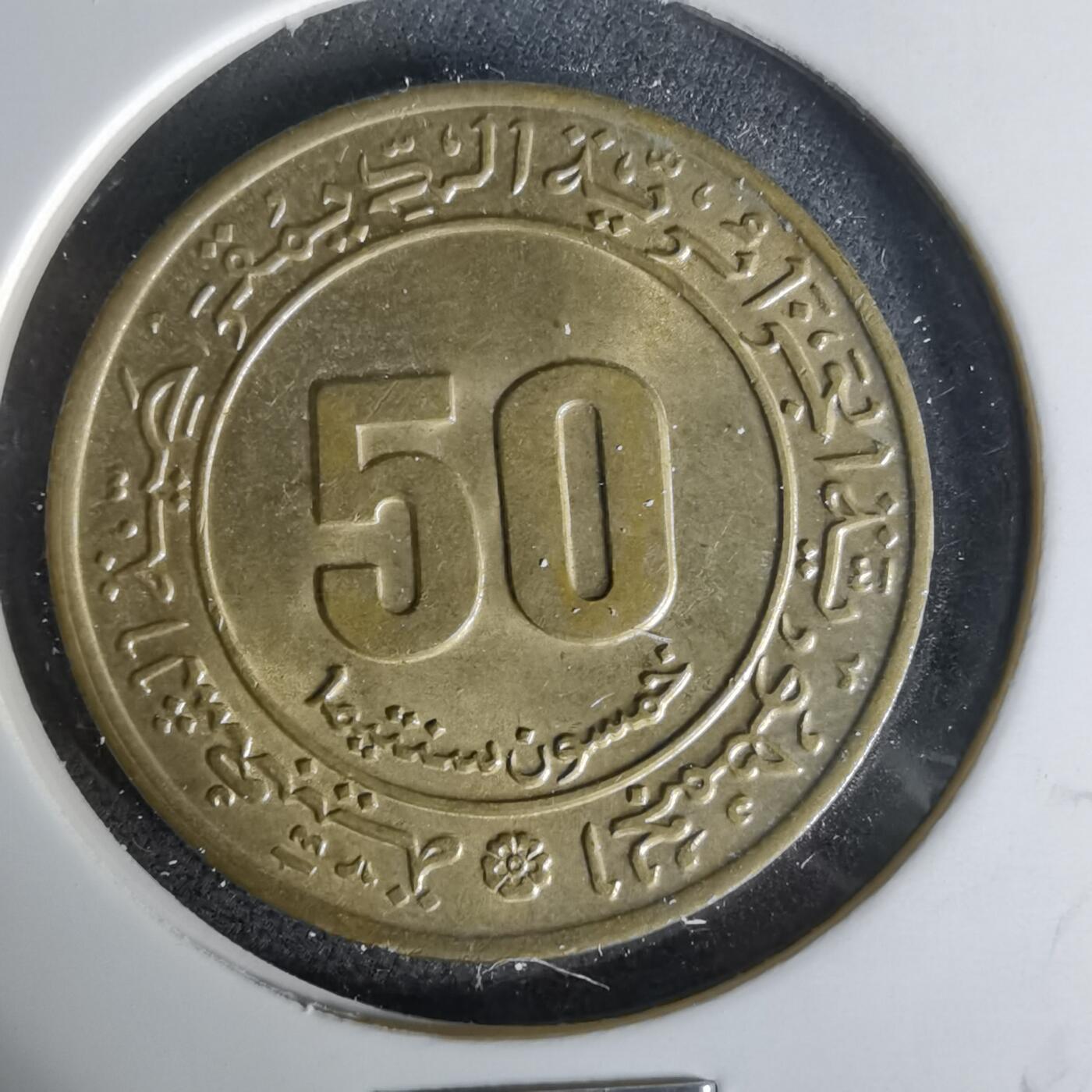 沼泽如烟--第1006场