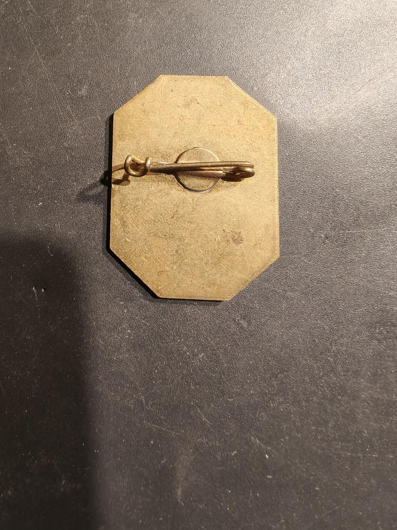 老王徽章第185期 法国证章