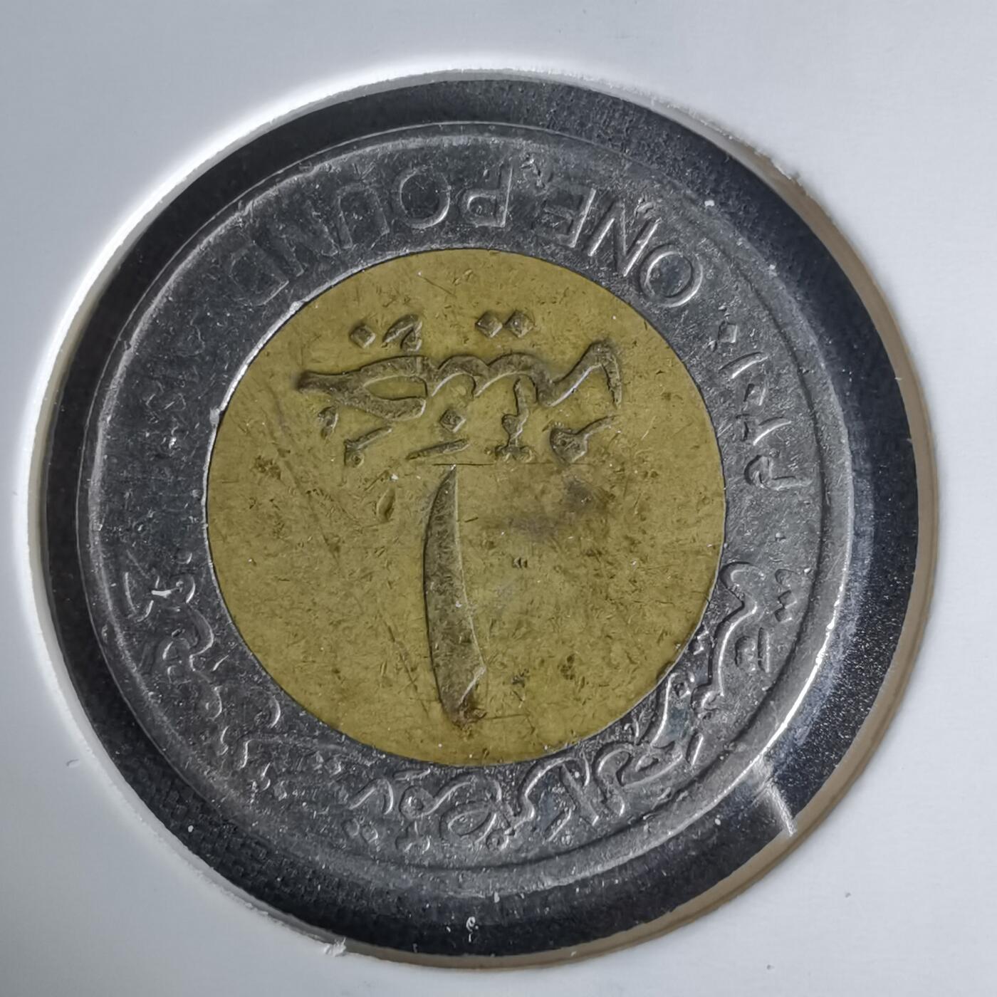 沼泽如烟--第1006场 埃及一磅