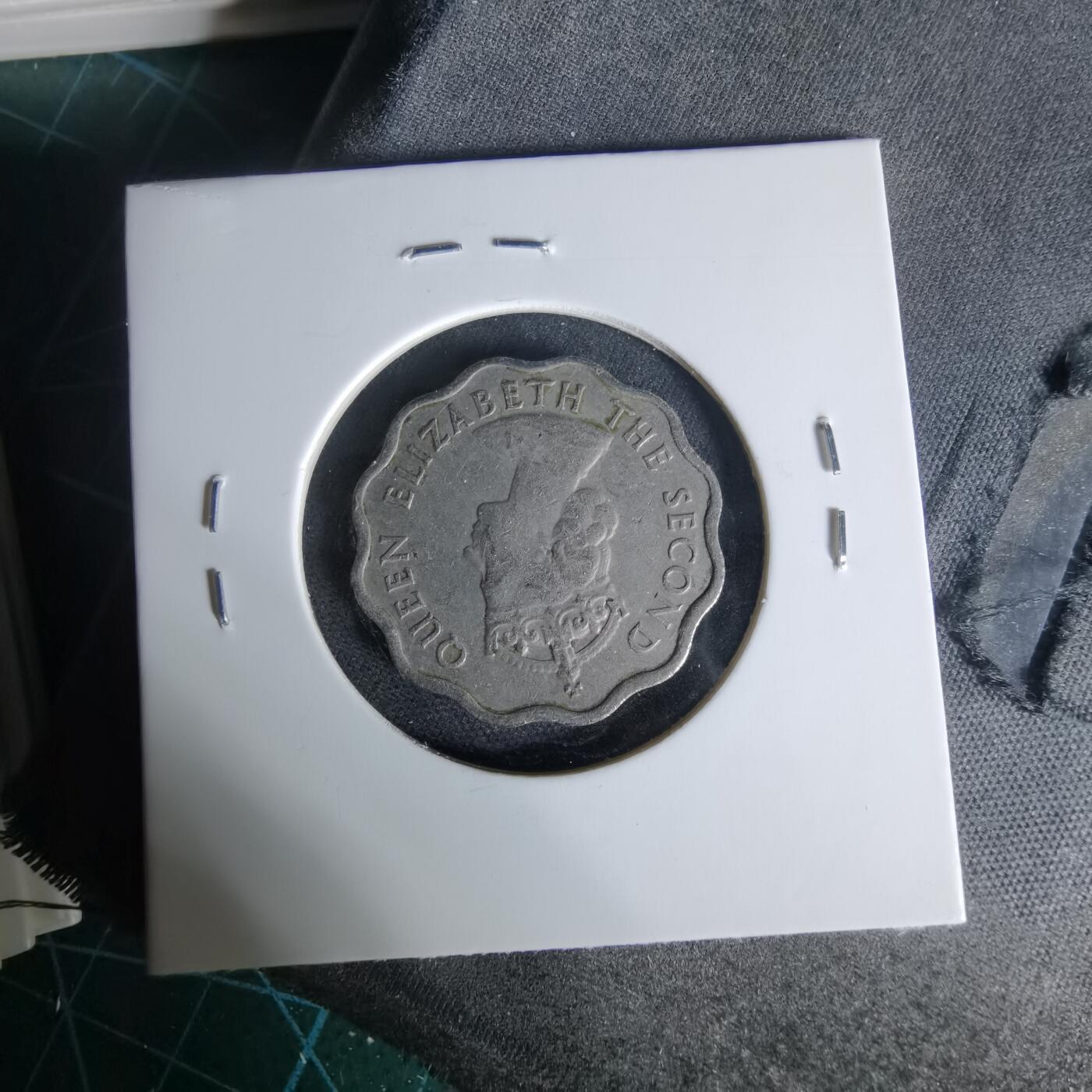 沼泽如烟--第1006场