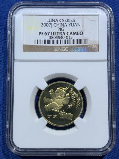 《竞宝斋》第466场 周日，周一 2场连拍 （全场包邮）欢迎送拍 - NGC PF67UC 中国2007年丁亥猪年贺岁精制纪念币