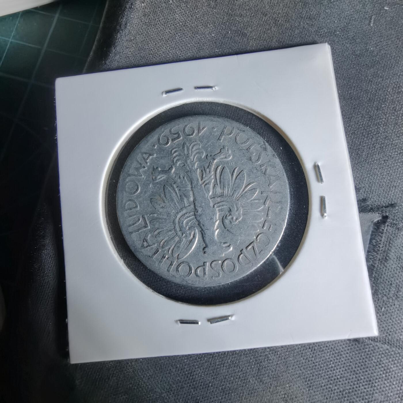 沼泽如烟--第1006场