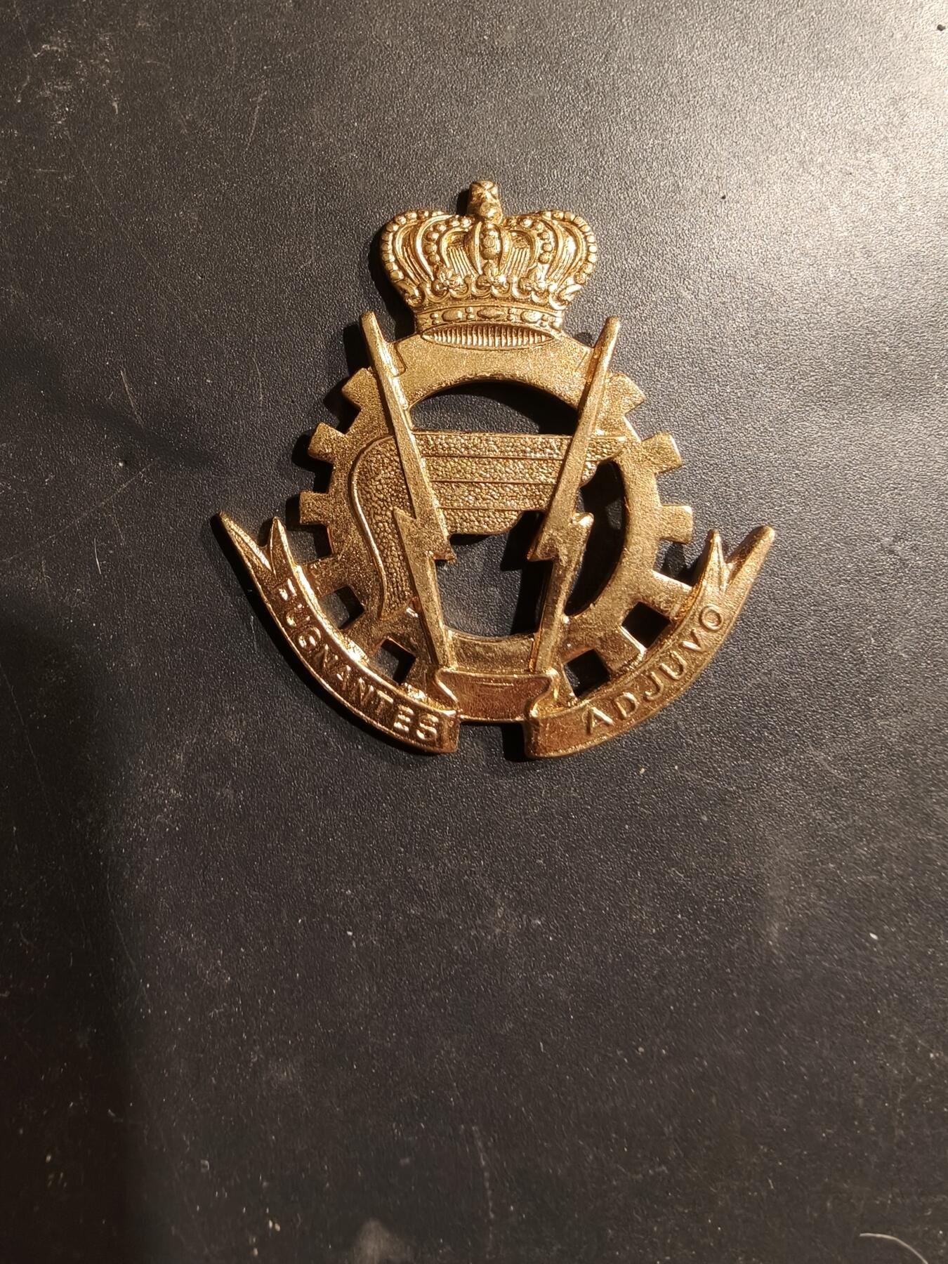 老王徽章第185期 比利时陆军后勤兵贝雷帽徽