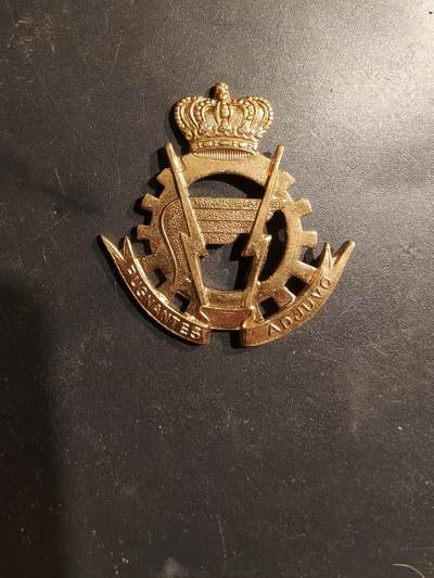 老王徽章第185期 - 比利时陆军后勤兵贝雷帽徽