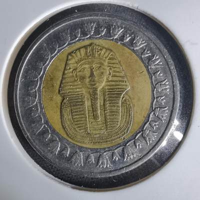 沼泽如烟--第1006场 - 埃及一磅