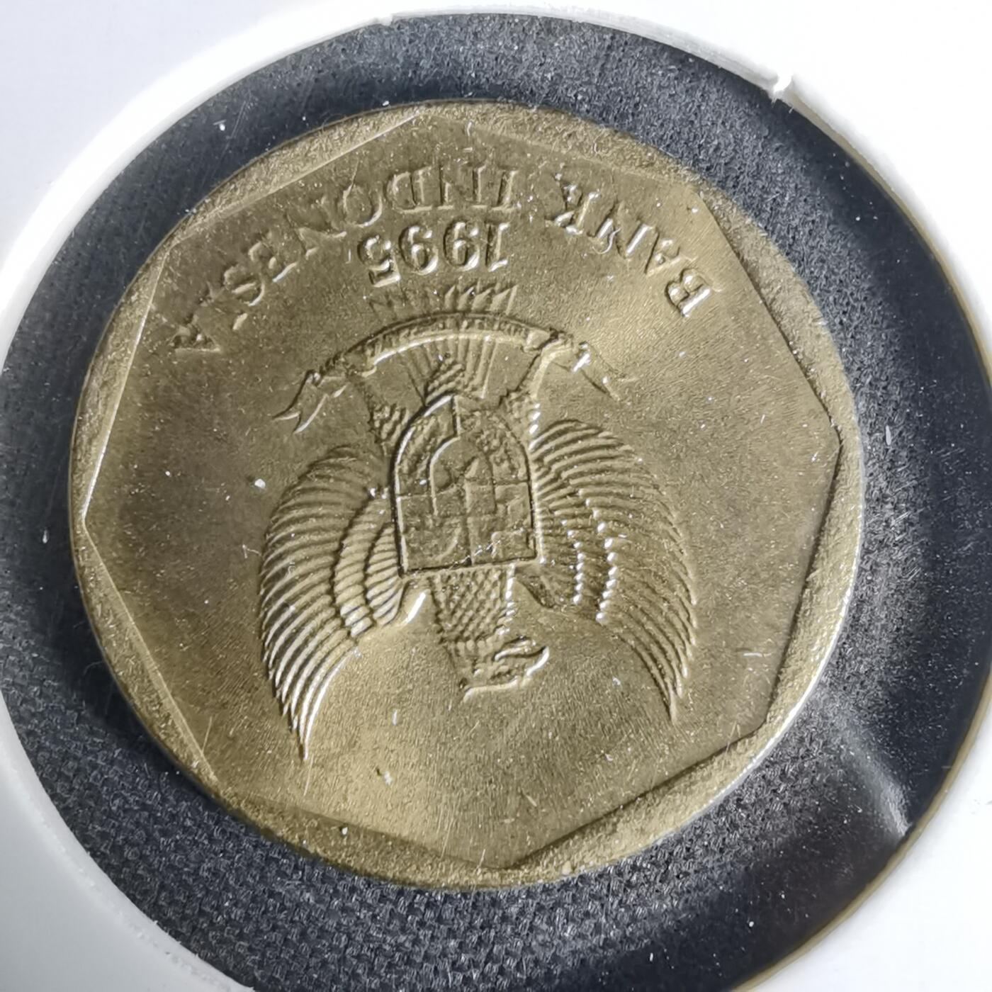 沼泽如烟--第1006场