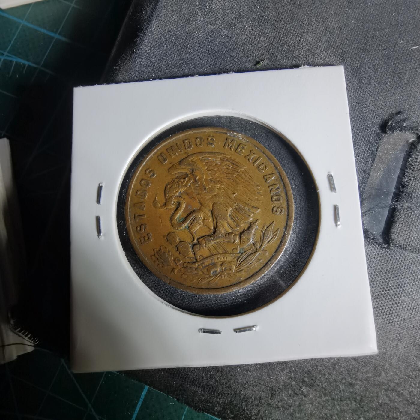 沼泽如烟--第1006场