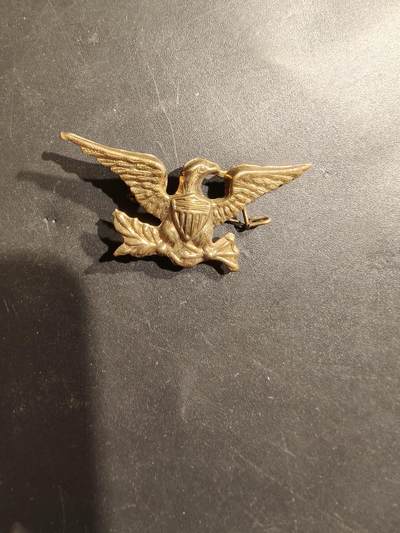 老王徽章第185期 - 美国陆军19世纪领章