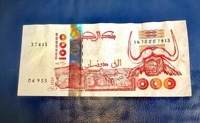 阿尔及利亚1998年1000第纳尔极美品超值纸币 - 阿尔及利亚1998年1000第纳尔极美品超值纸币