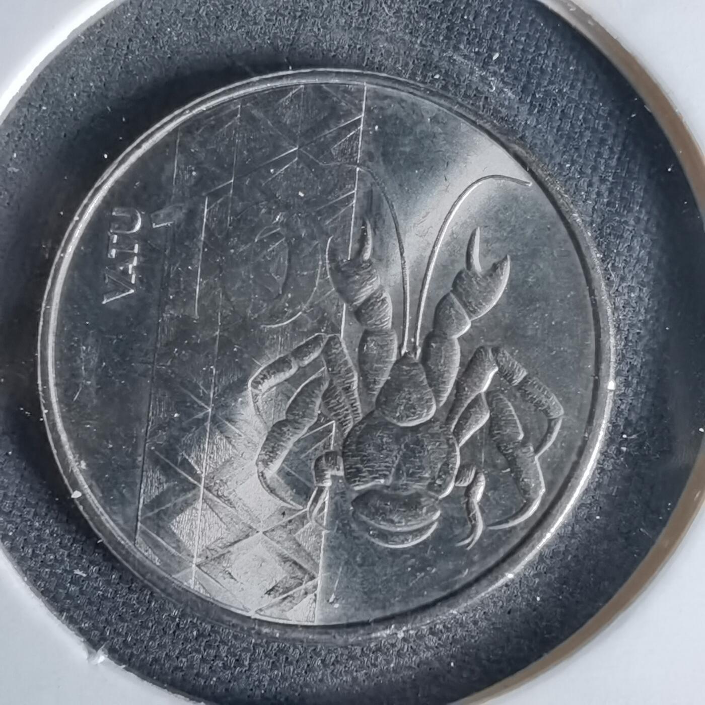 沼泽如烟--第1006场 瓦努阿图2023年10瓦图