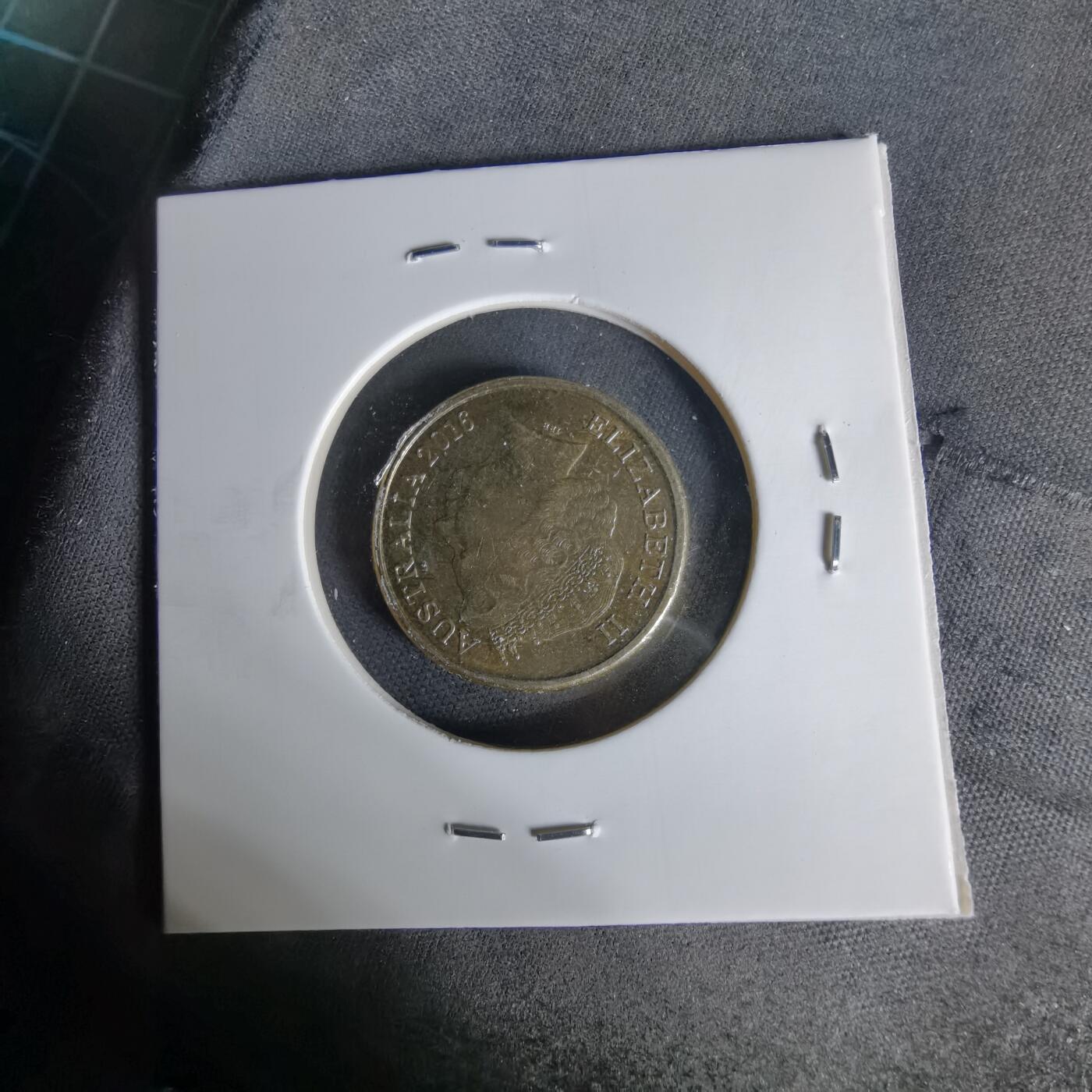 沼泽如烟--第1006场