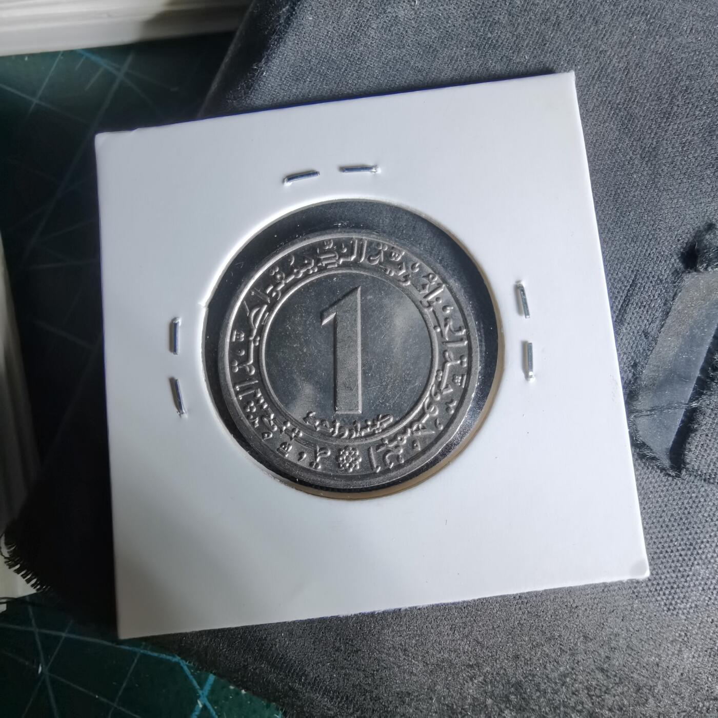 沼泽如烟--第1006场