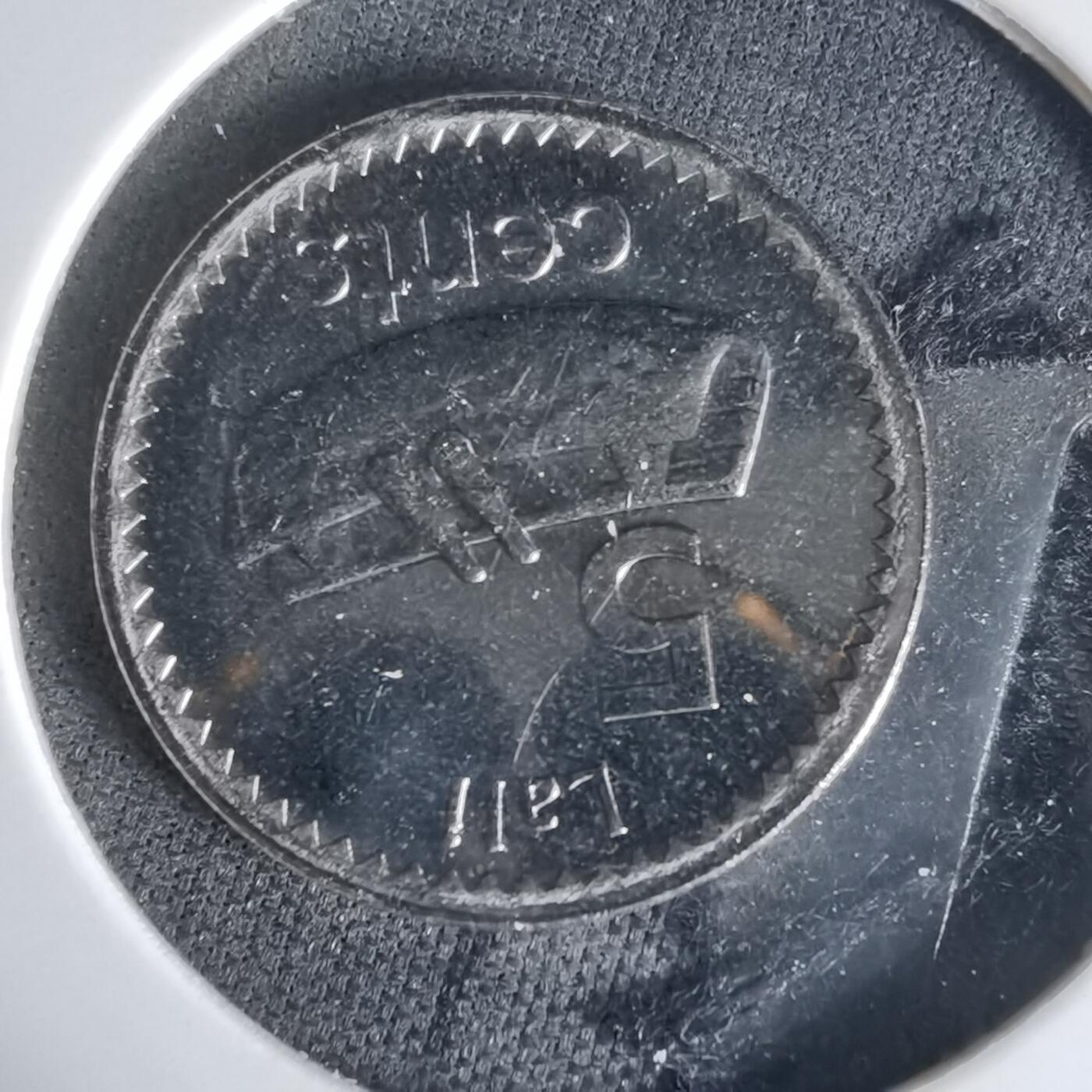 沼泽如烟--第1006场