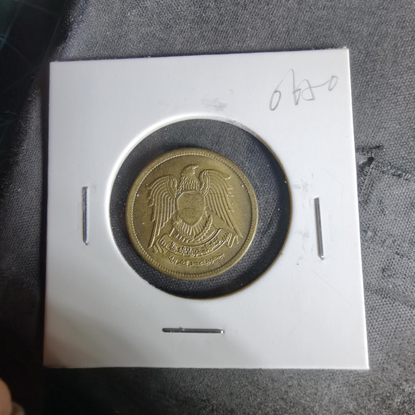 沼泽如烟--第1006场