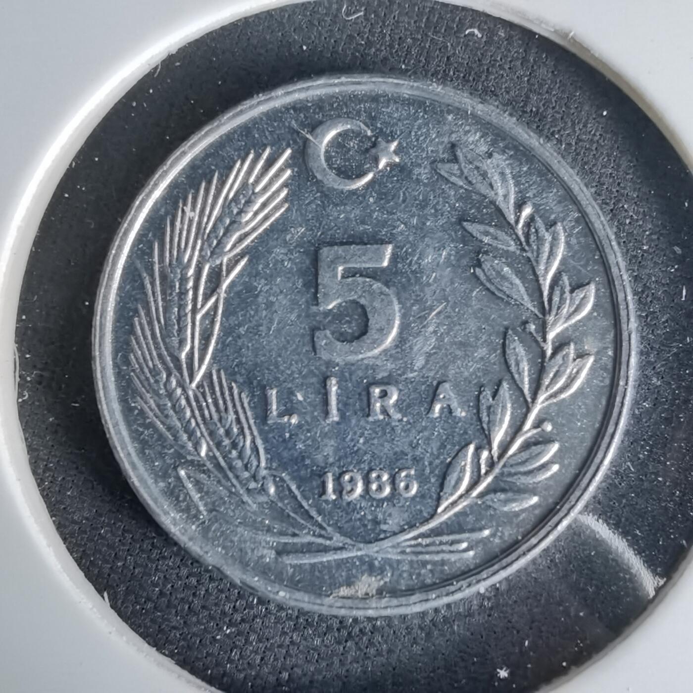 沼泽如烟--第1006场