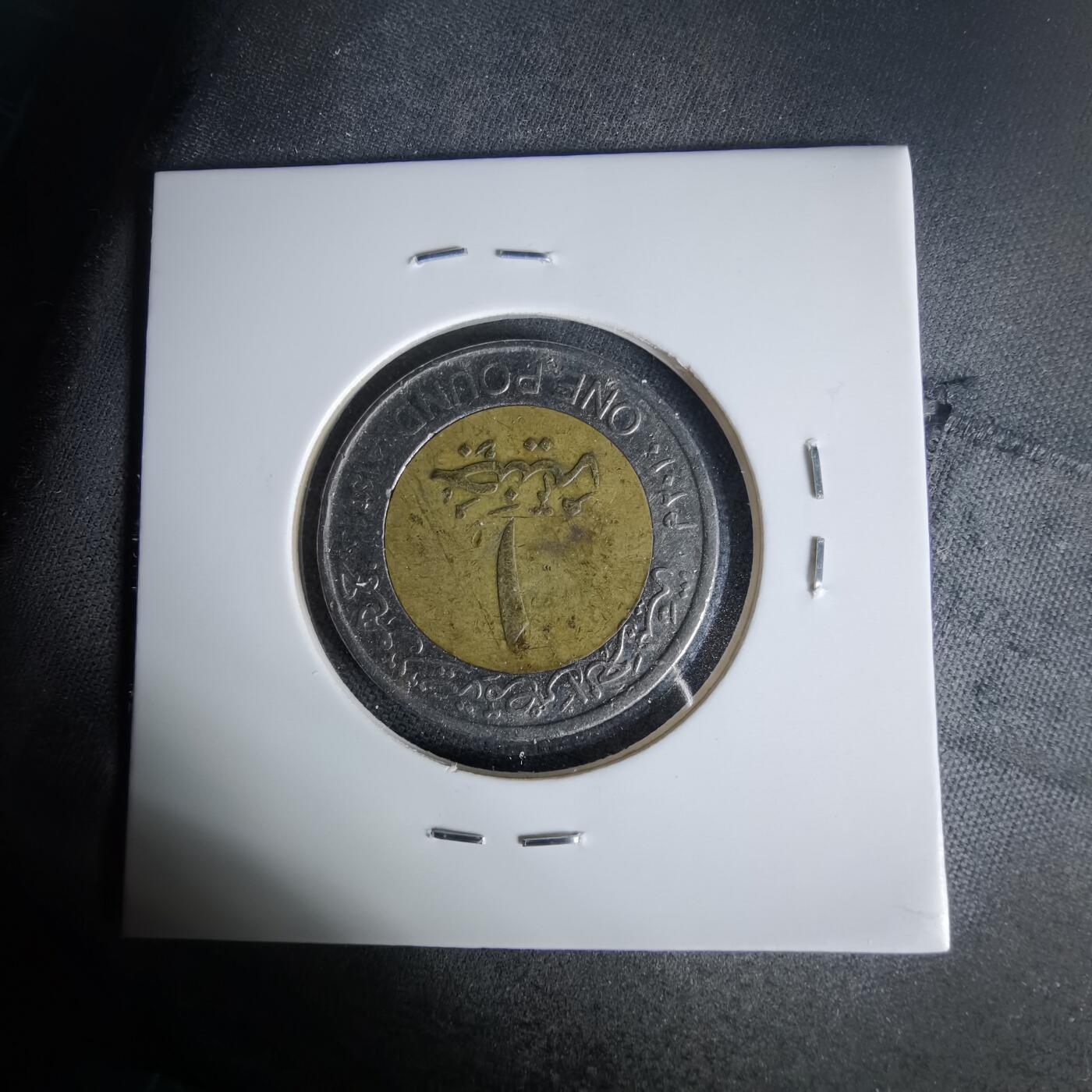 沼泽如烟--第1006场 埃及一磅