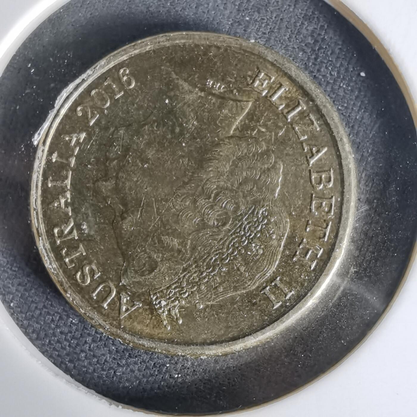 沼泽如烟--第1006场