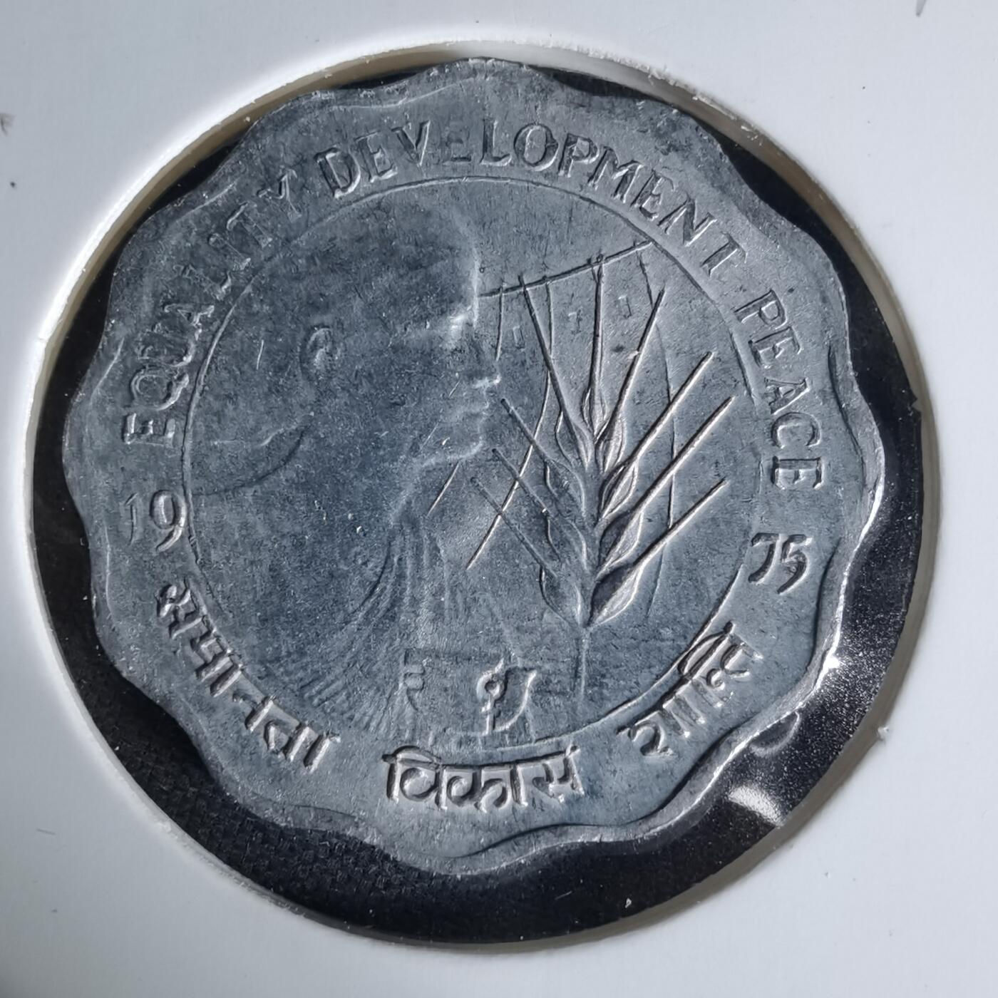 沼泽如烟--第1006场