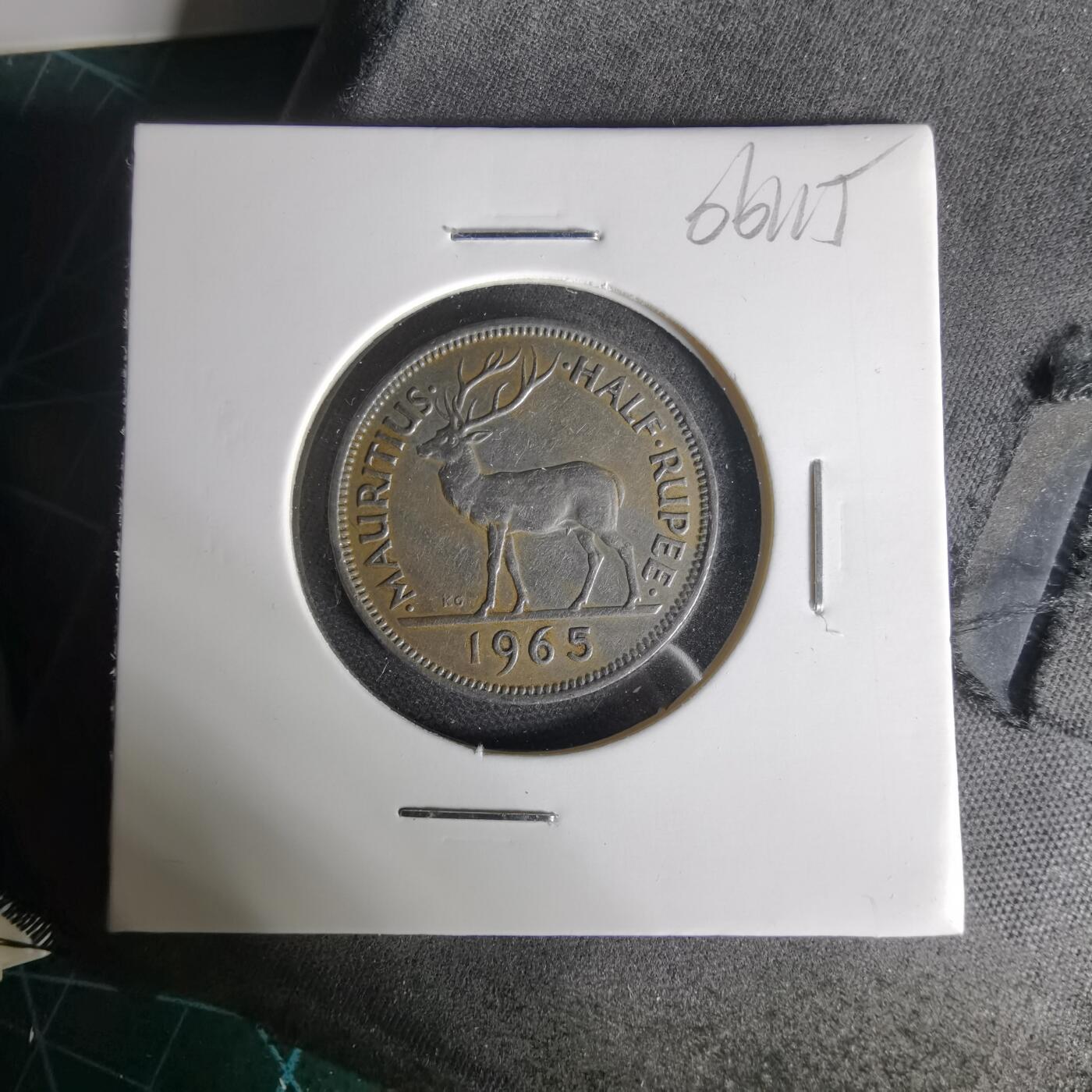 沼泽如烟--第1006场