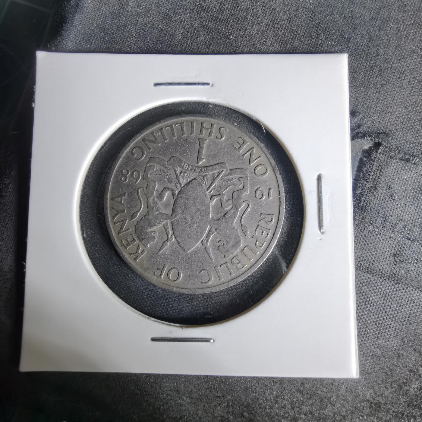 沼泽如烟--第1006场