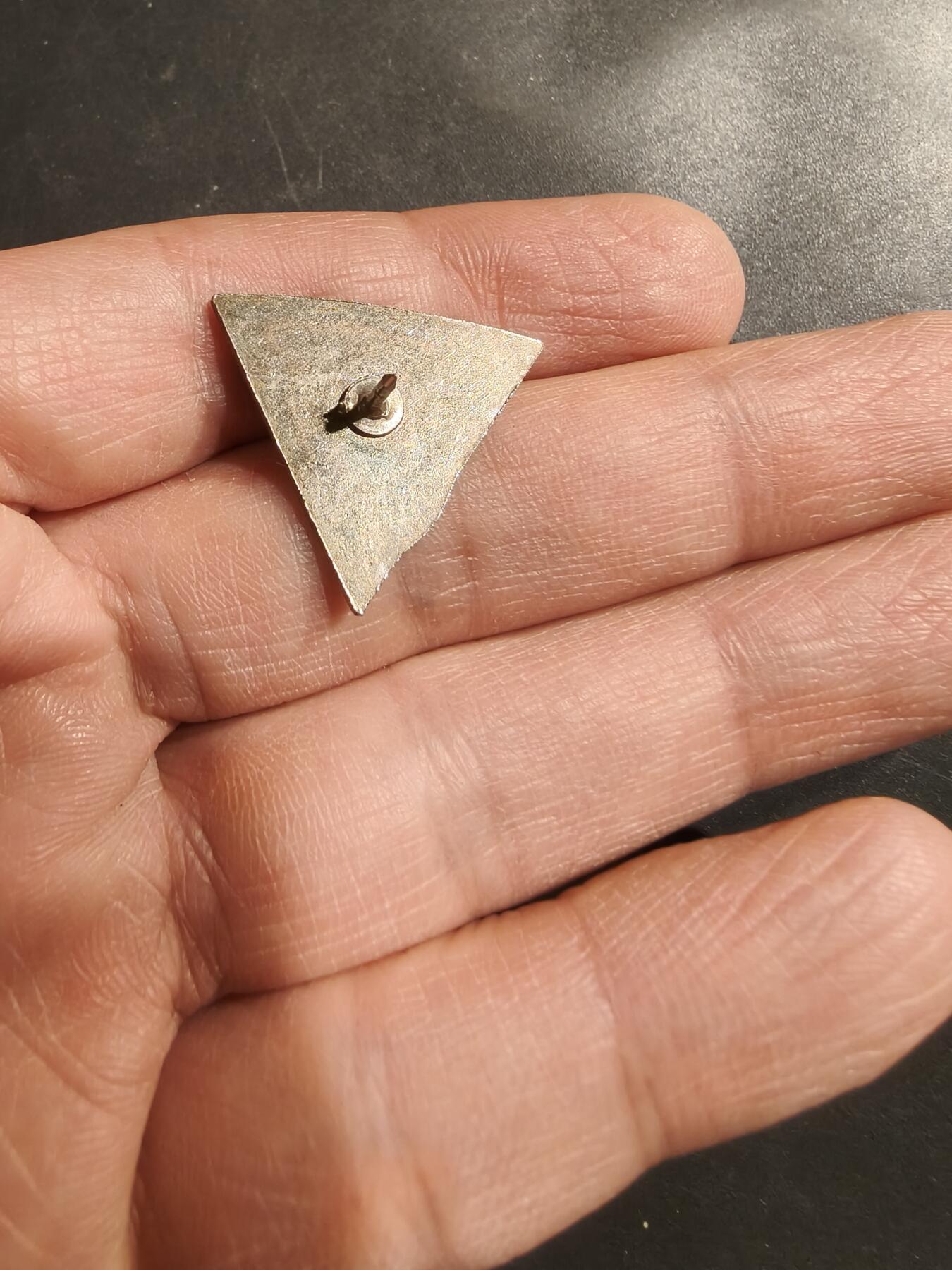 老王徽章第185期 法国健美运动竞赛纪念章