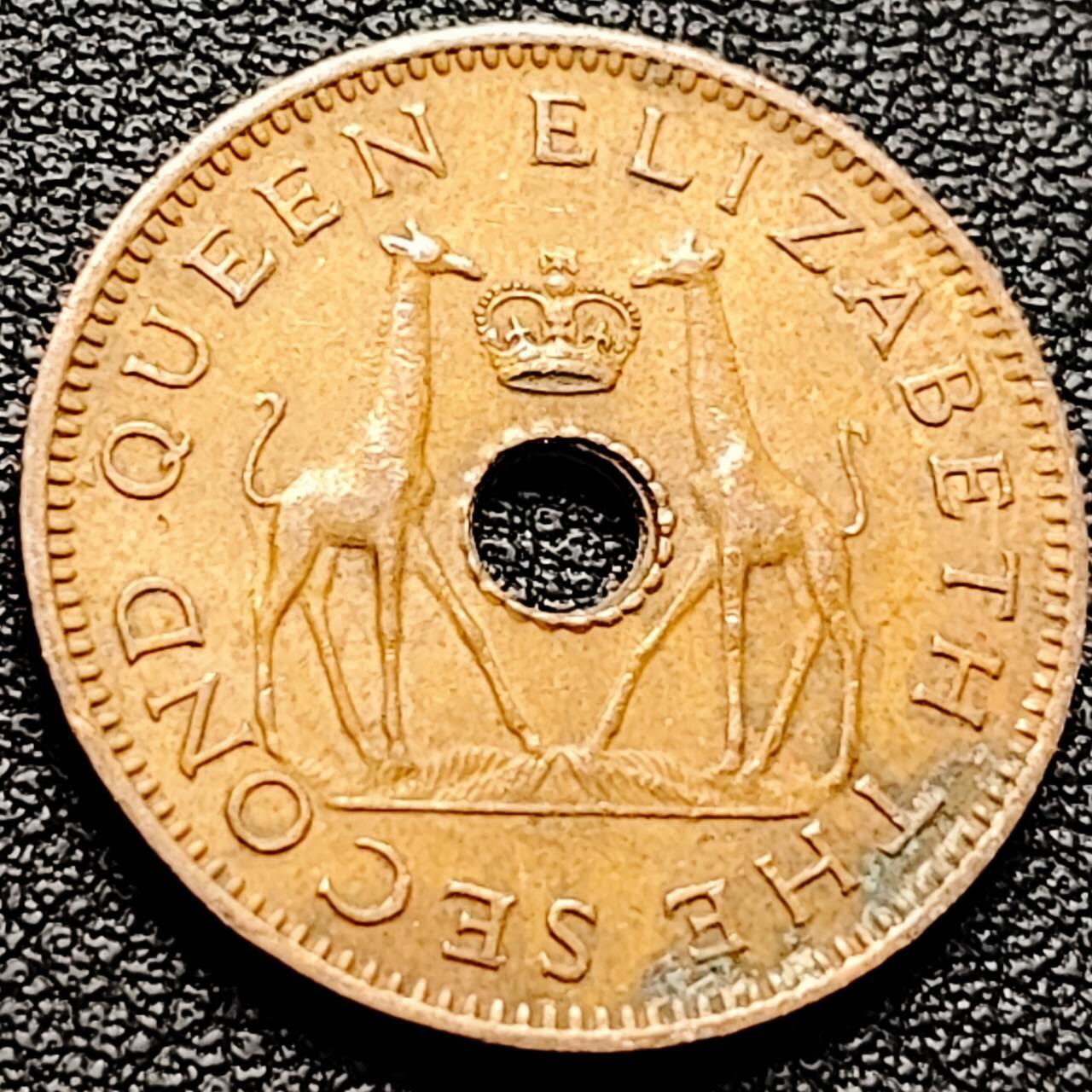 泉币菌-第203场-本场拍品多 请提前出价（正月十五统一发货） 。