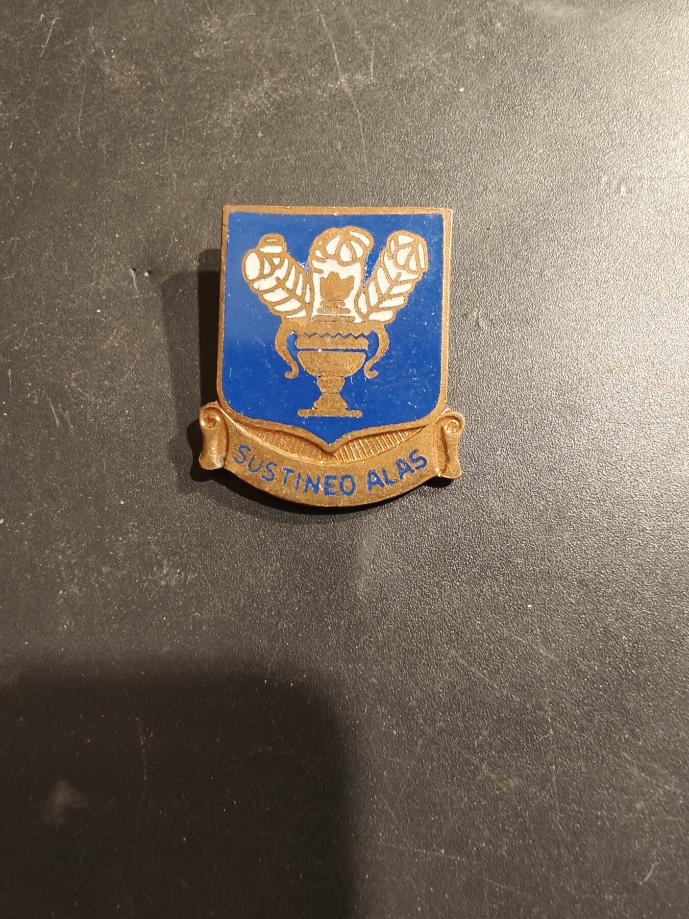 老王徽章第185期 美国二战陆军航空兵技术训练司令部证章    二战时期铜质珐琅