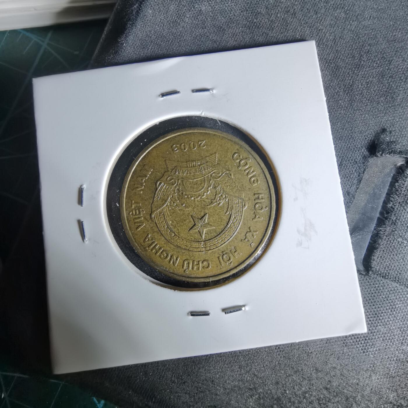 沼泽如烟--第1006场