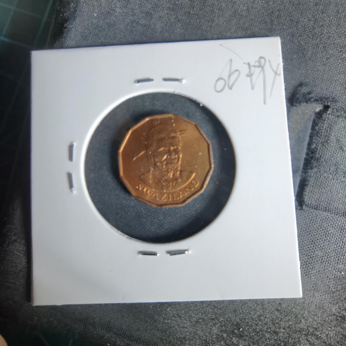 沼泽如烟--第1006场