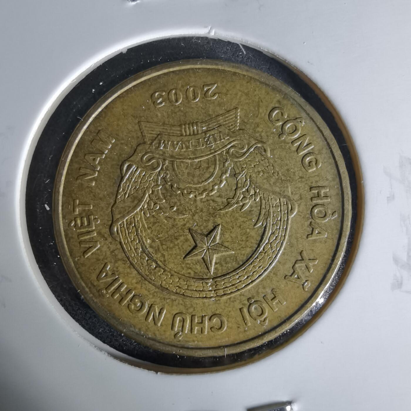 沼泽如烟--第1006场