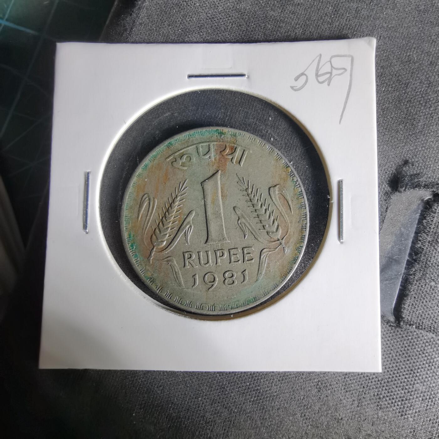 沼泽如烟--第1006场