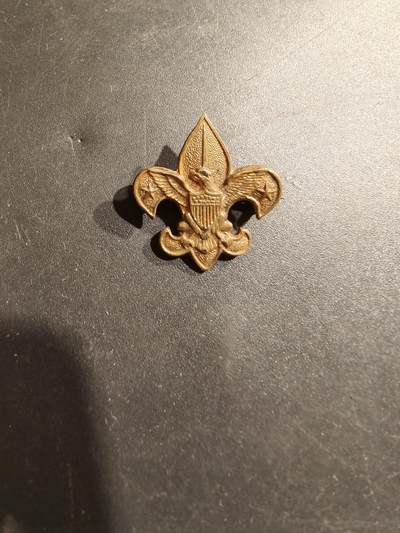 老王徽章第185期 - 法国莺尾花胸针