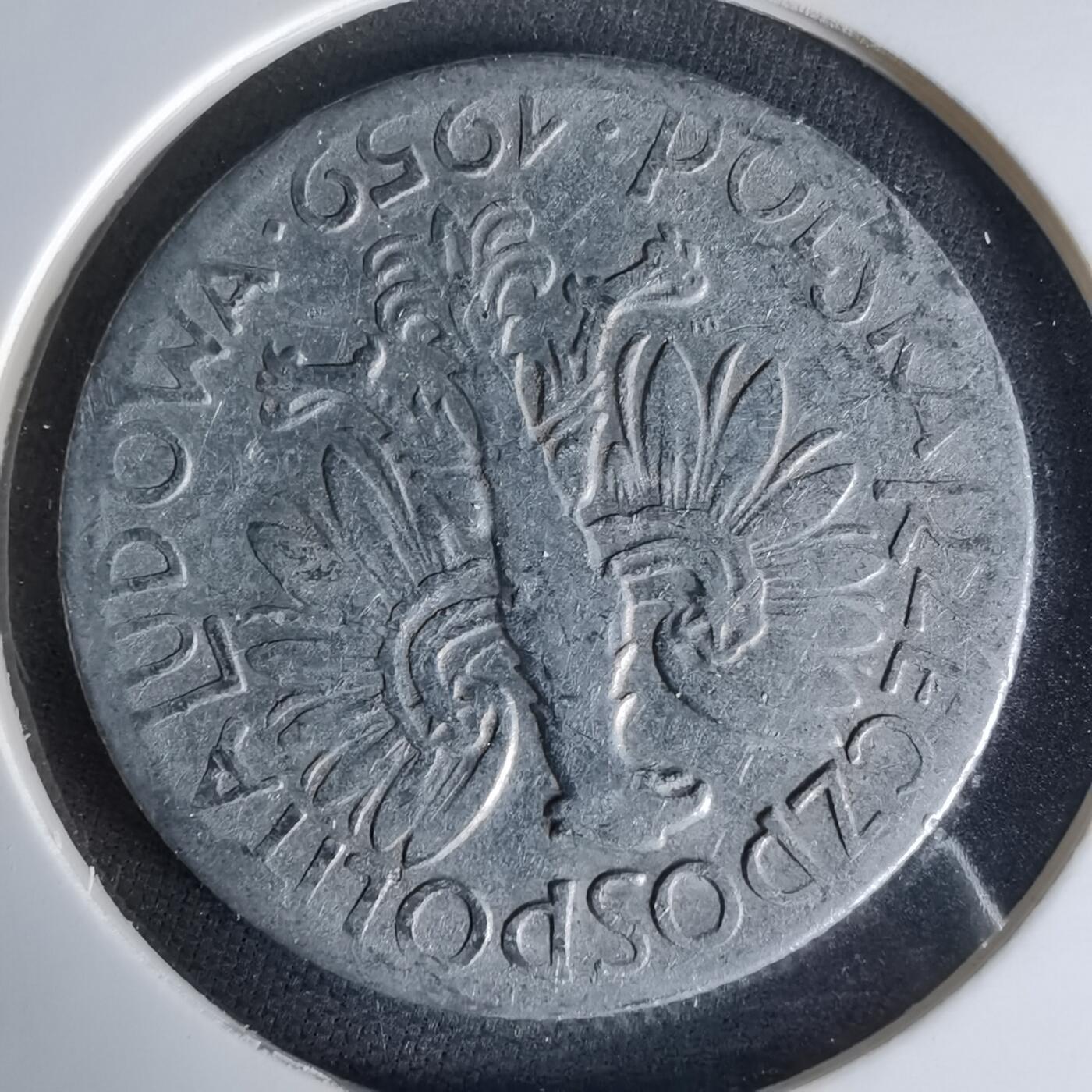 沼泽如烟--第1006场