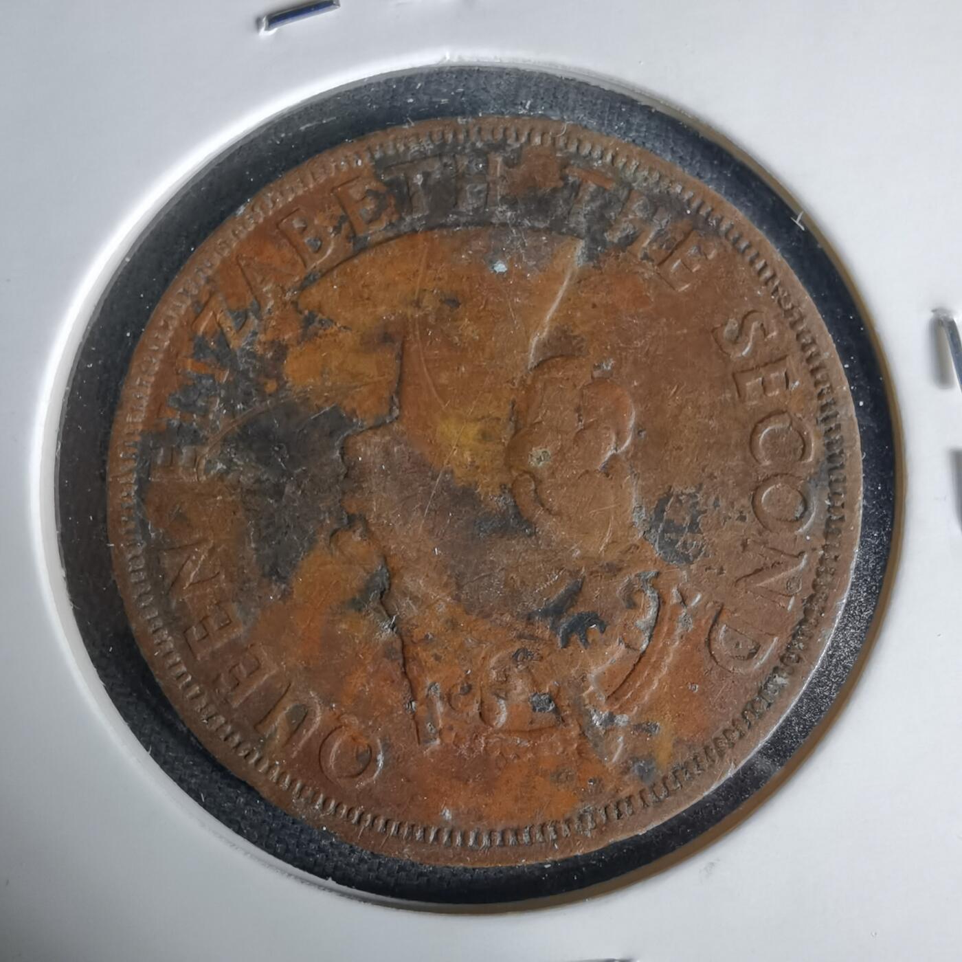 沼泽如烟--第1006场