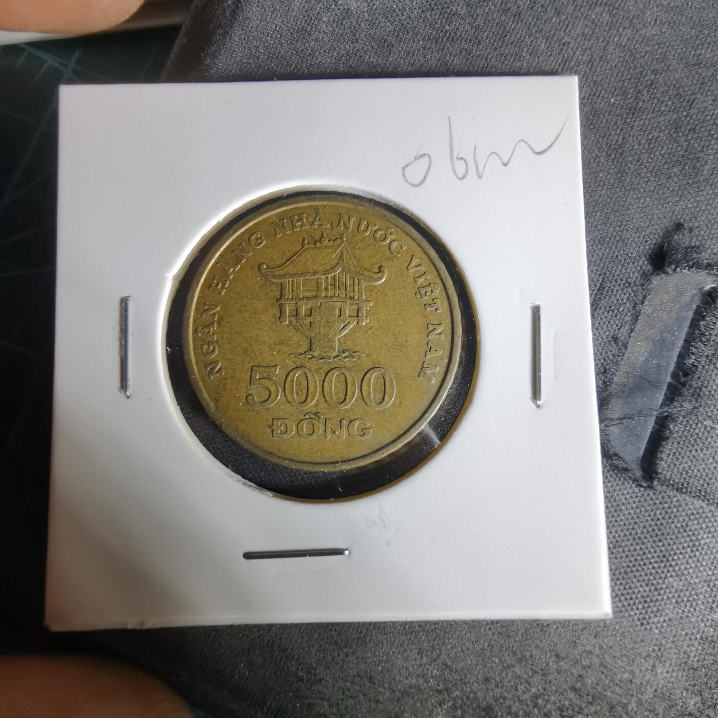 沼泽如烟--第1006场