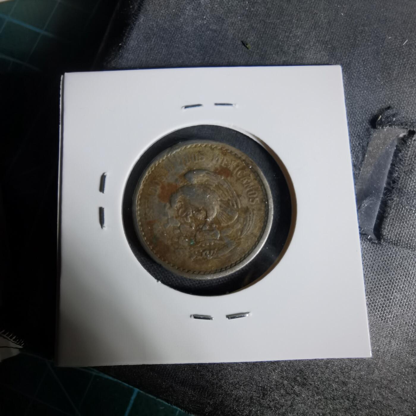 沼泽如烟--第1006场