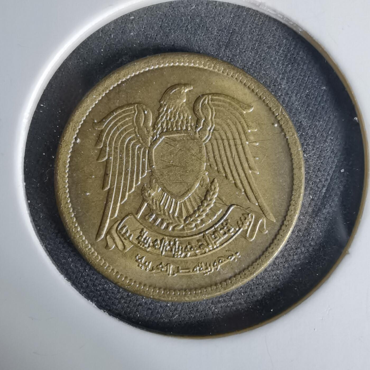 沼泽如烟--第1006场