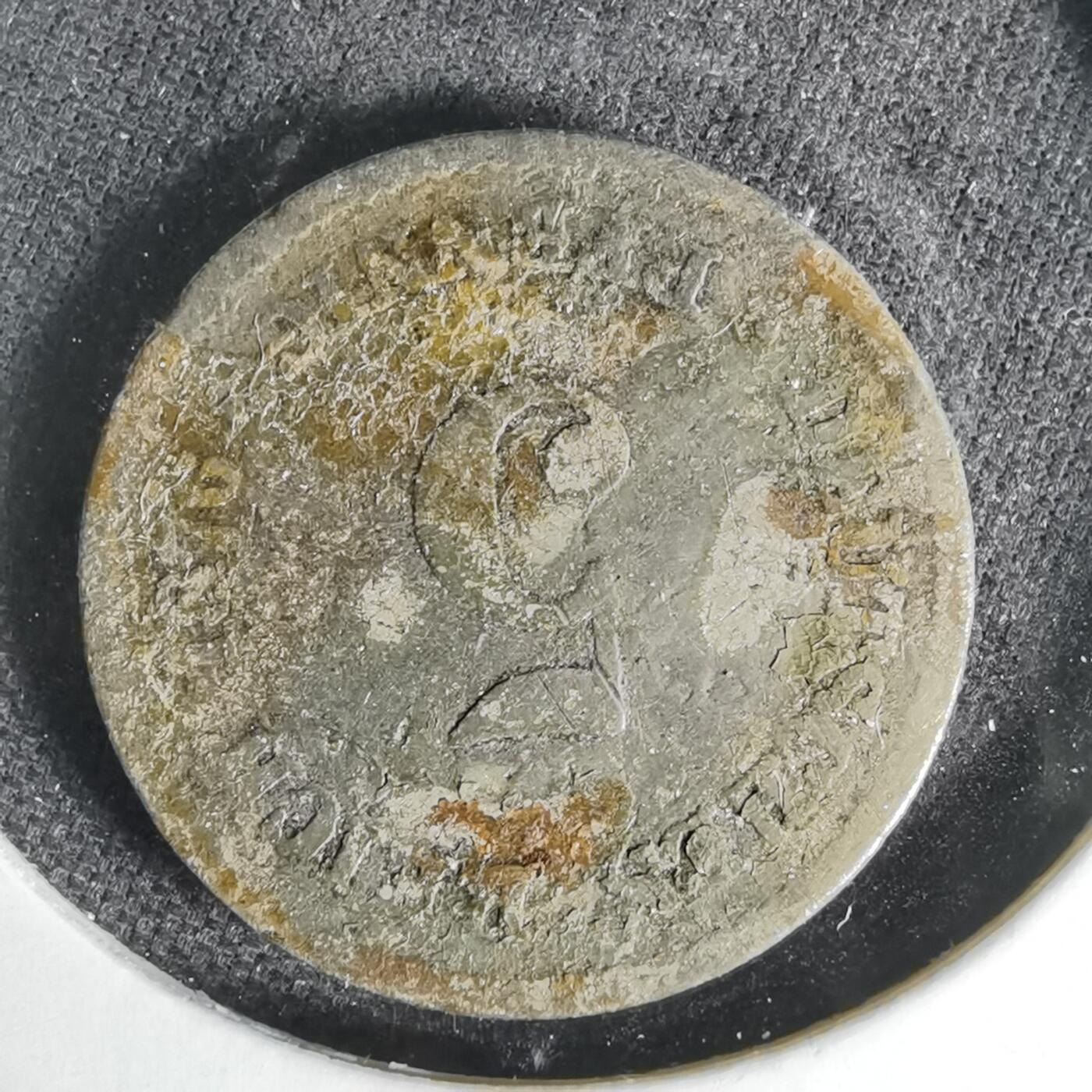 沼泽如烟--第1006场