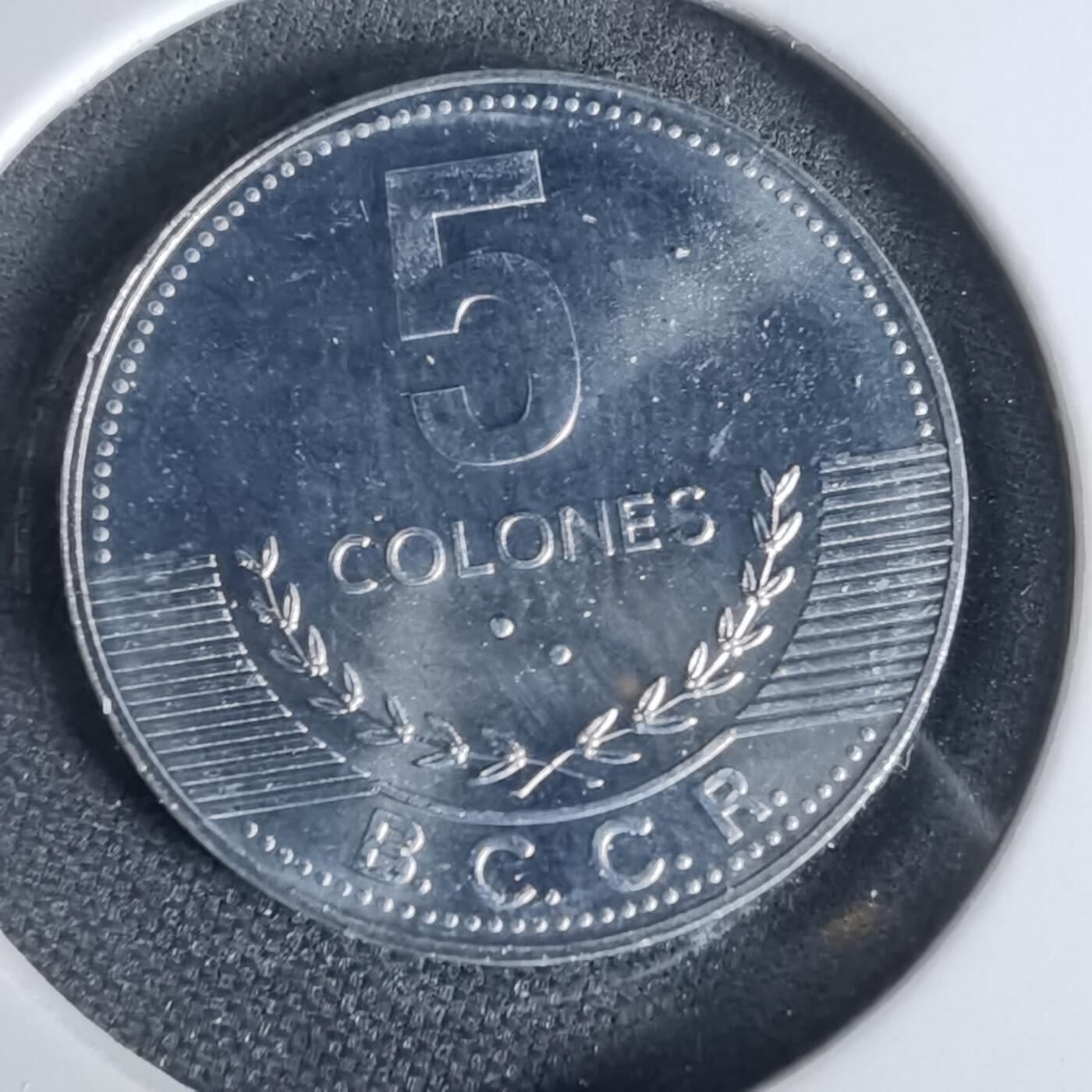 沼泽如烟--第1006场