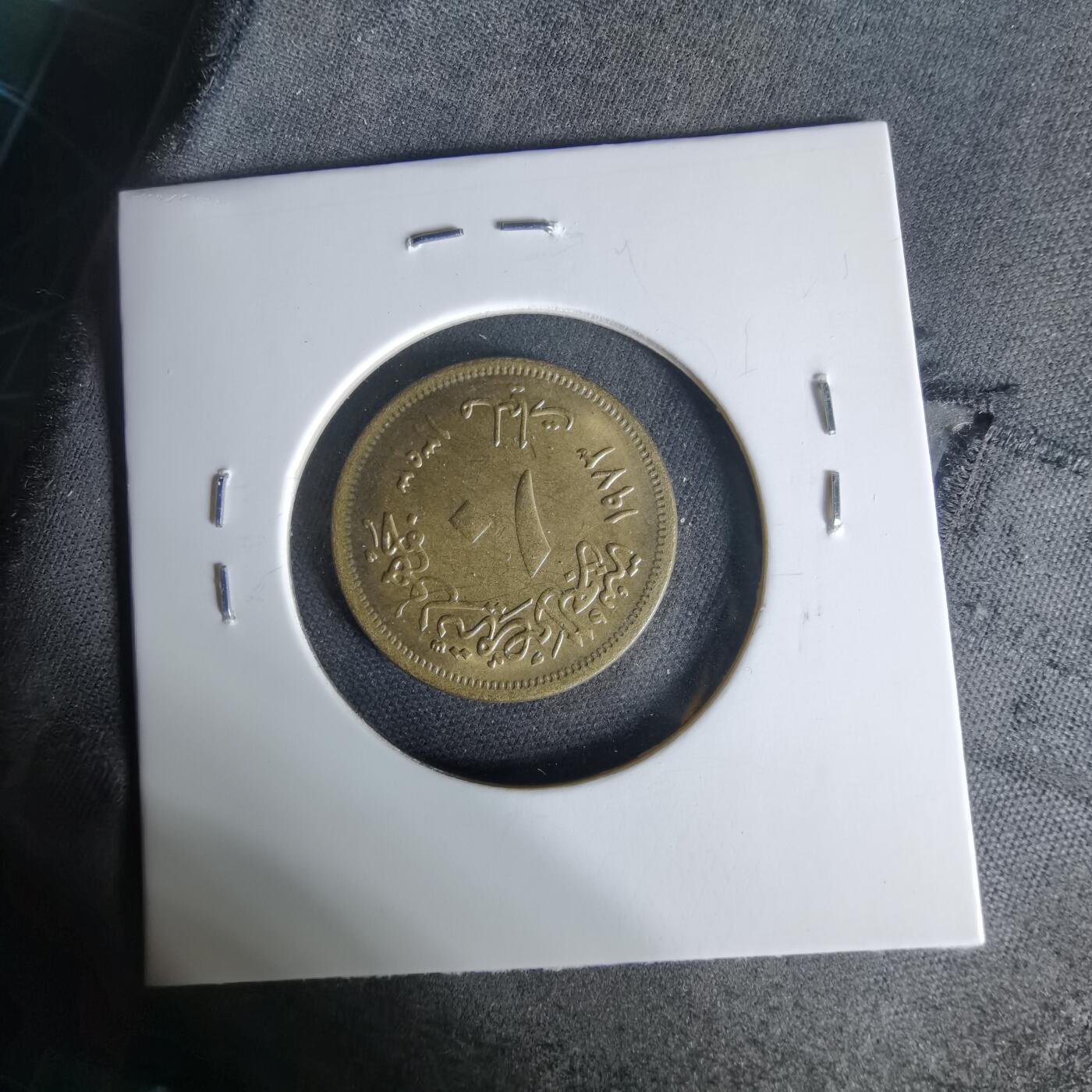 沼泽如烟--第1006场