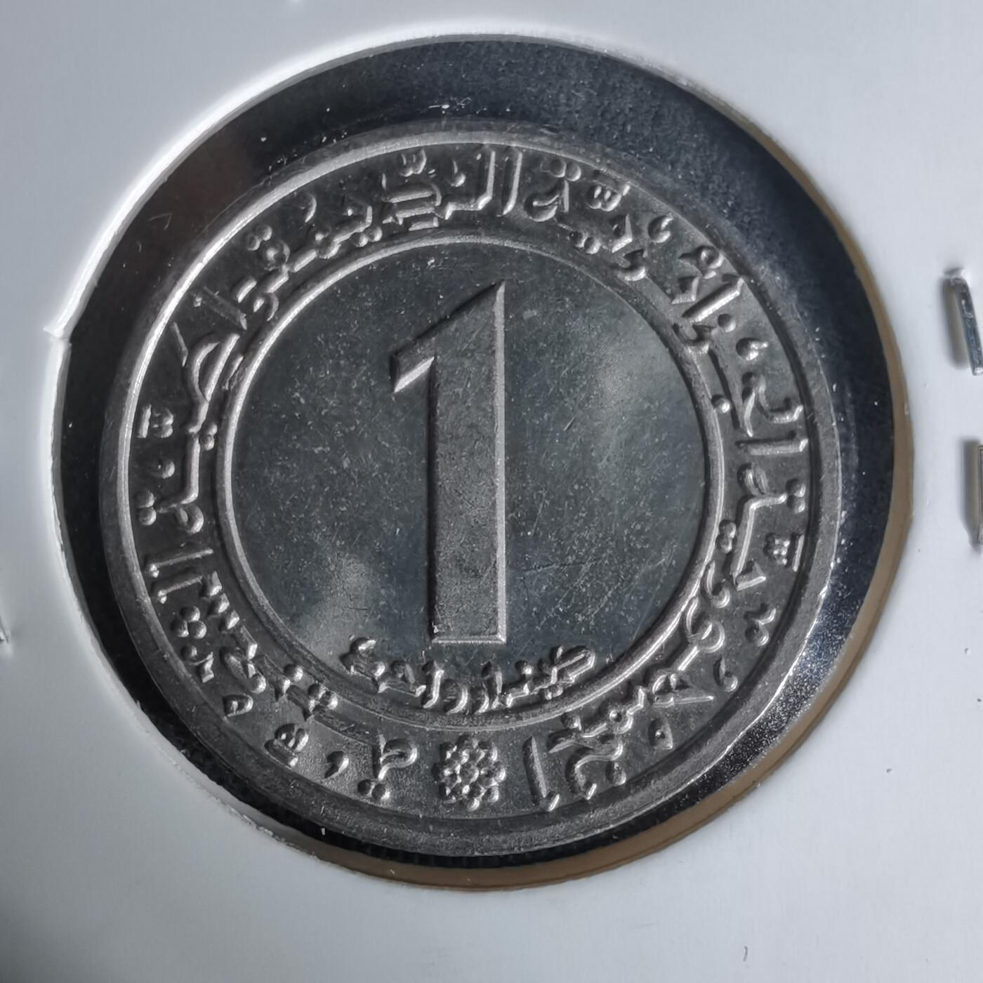 沼泽如烟--第1006场