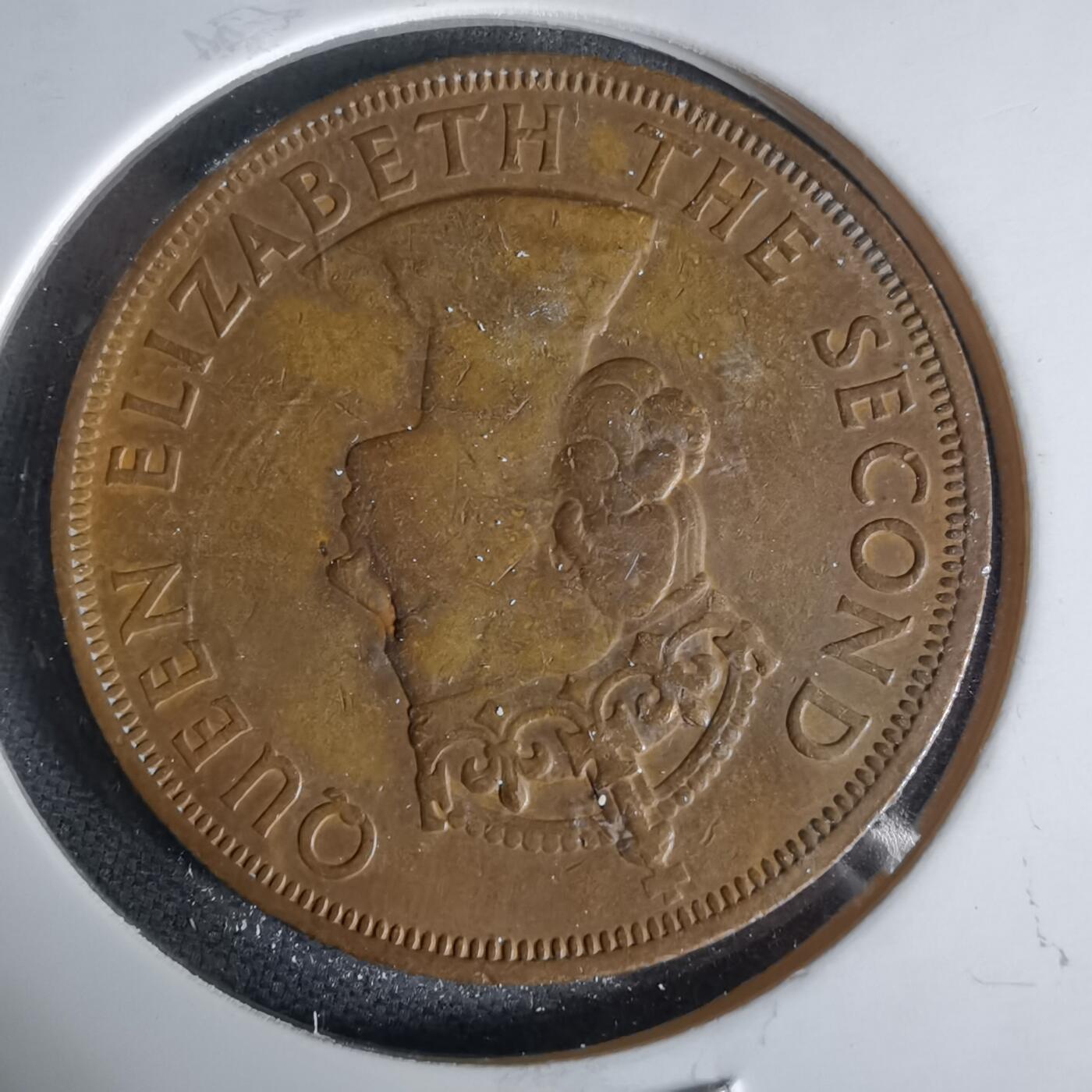 沼泽如烟--第1006场