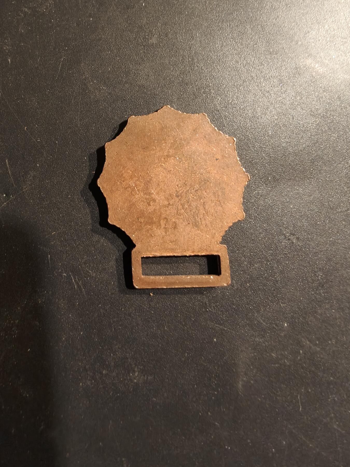 老王徽章第185期 美国老兵协会证章