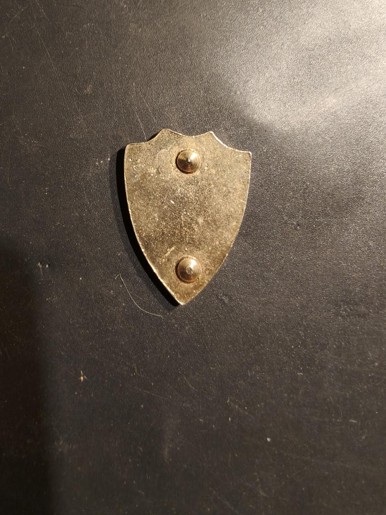 老王徽章第185期 美国加州学院部队证章